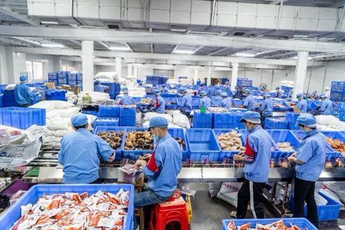 好家伙，年薪50万闻厕所？网络技术服务中的那些“奇奇怪怪”的职业